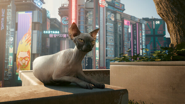 cyberpunk-2077-pc-3