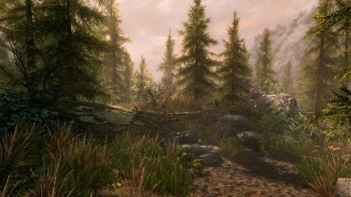 the-elder-scrolls-v-5-skyrim-special-edition-pc-steam-2