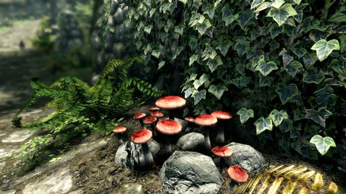 the-elder-scrolls-v-5-skyrim-special-edition-pc-steam-3